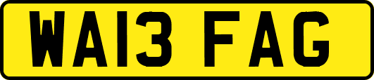 WA13FAG