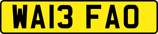 WA13FAO
