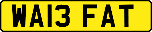 WA13FAT