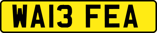 WA13FEA