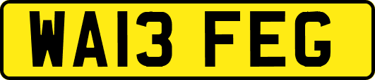 WA13FEG