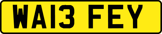 WA13FEY