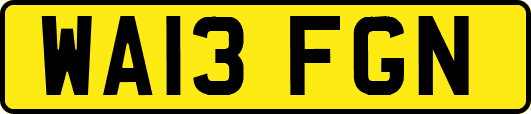 WA13FGN