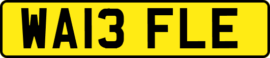 WA13FLE