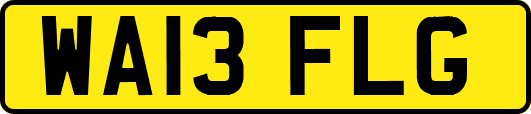 WA13FLG