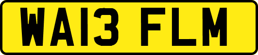 WA13FLM