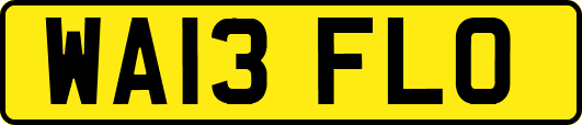 WA13FLO
