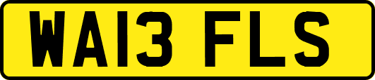 WA13FLS