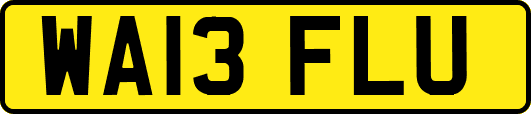 WA13FLU