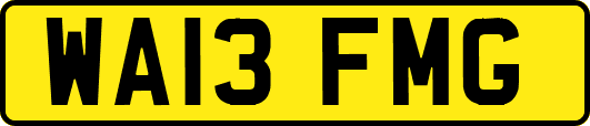 WA13FMG
