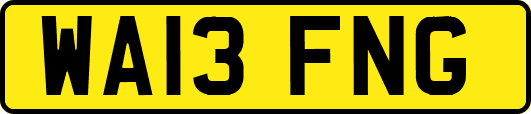 WA13FNG