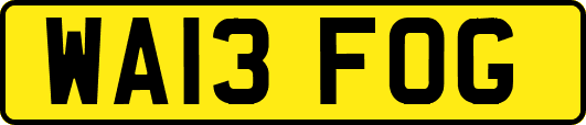 WA13FOG