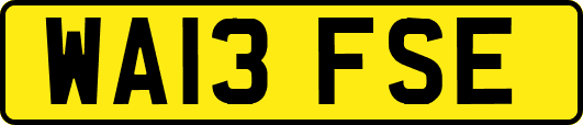 WA13FSE
