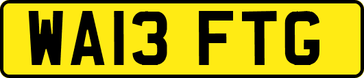 WA13FTG