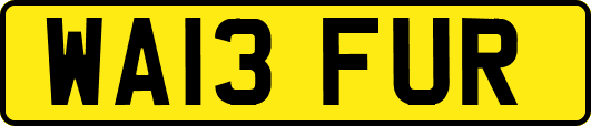 WA13FUR