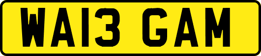 WA13GAM