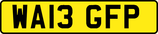 WA13GFP