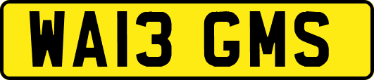 WA13GMS