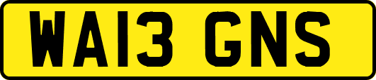 WA13GNS