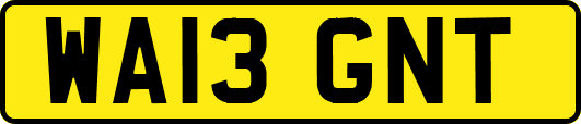WA13GNT