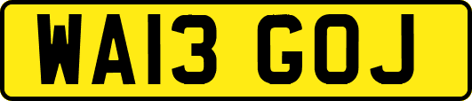 WA13GOJ