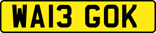 WA13GOK