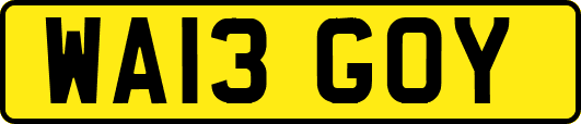WA13GOY