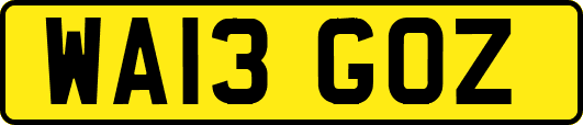 WA13GOZ