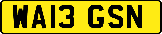 WA13GSN