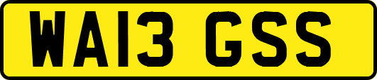 WA13GSS