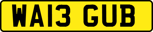 WA13GUB