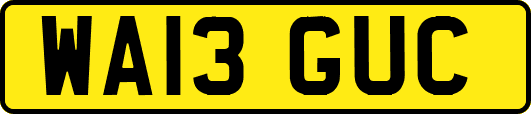 WA13GUC