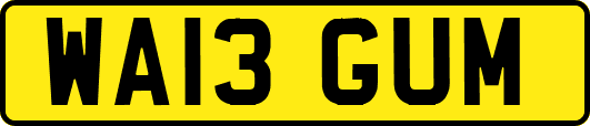 WA13GUM