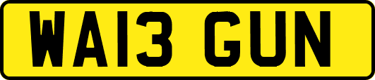 WA13GUN