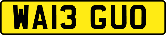 WA13GUO