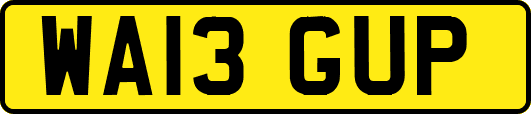 WA13GUP