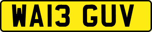 WA13GUV