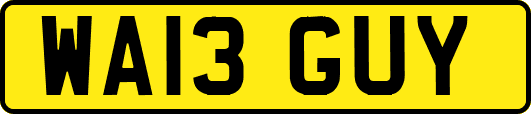 WA13GUY