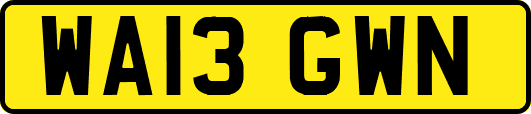 WA13GWN