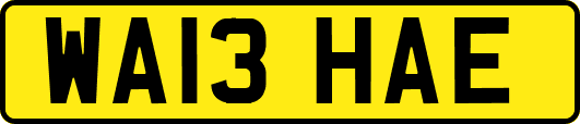 WA13HAE