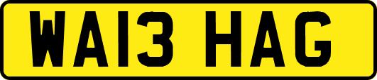 WA13HAG
