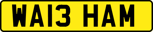 WA13HAM