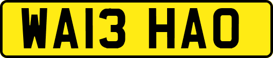 WA13HAO