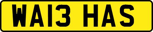 WA13HAS