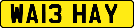 WA13HAY
