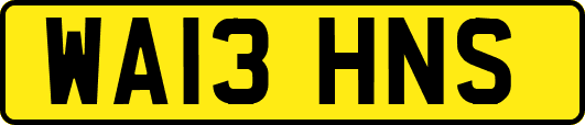 WA13HNS