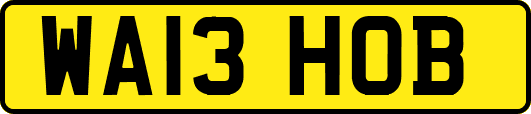 WA13HOB