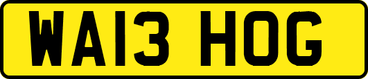 WA13HOG