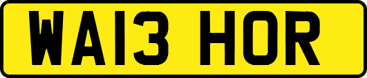 WA13HOR