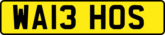 WA13HOS